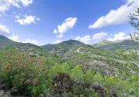 Resale - Finca - Torremanzanas