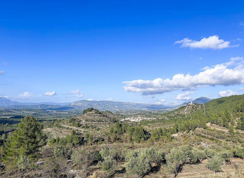 Resale - Finca - Torremanzanas