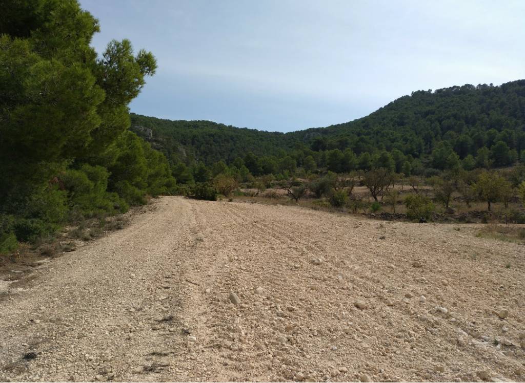 Resale - Land - Abanilla - Rural location