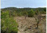 Resale - Land - Abanilla - Rural location