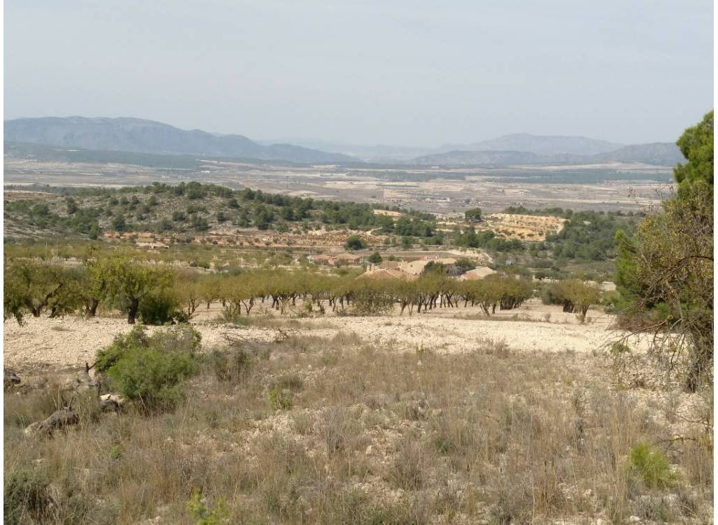 Resale - Land - Abanilla - Rural location