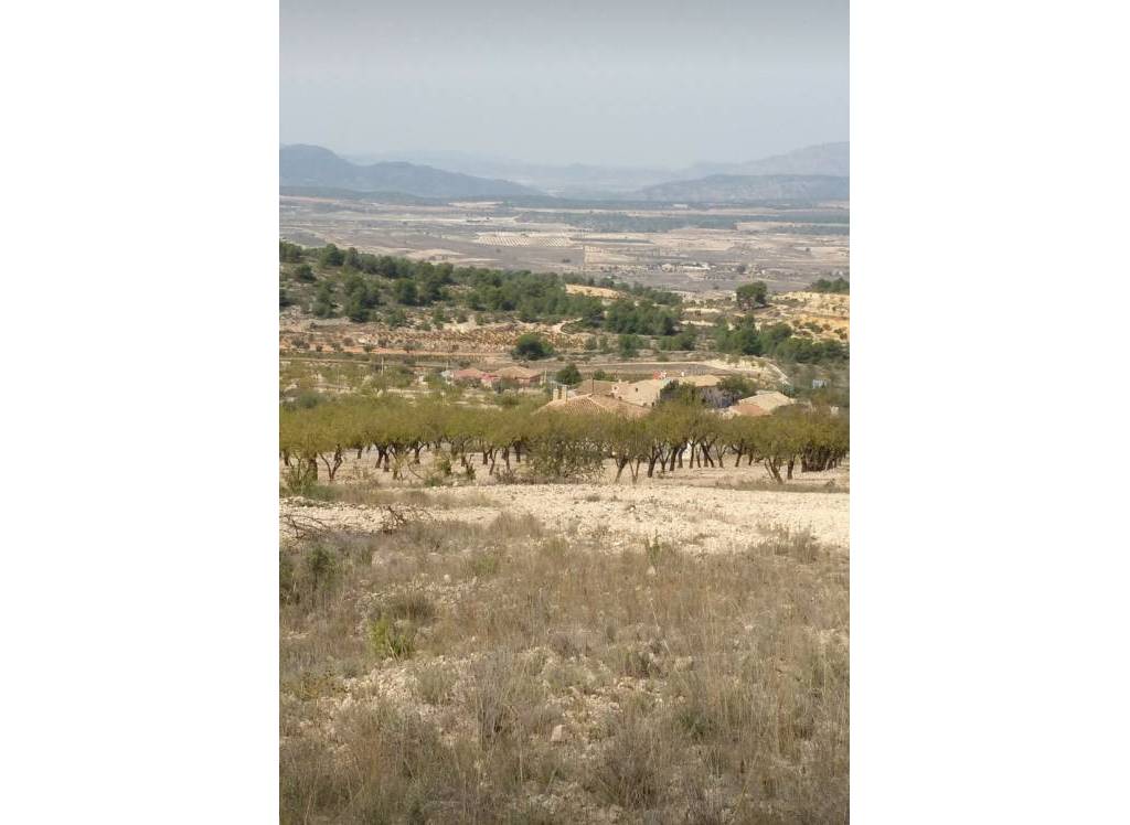 Resale - Land - Abanilla - Rural location