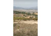 Resale - Land - Abanilla - Rural location