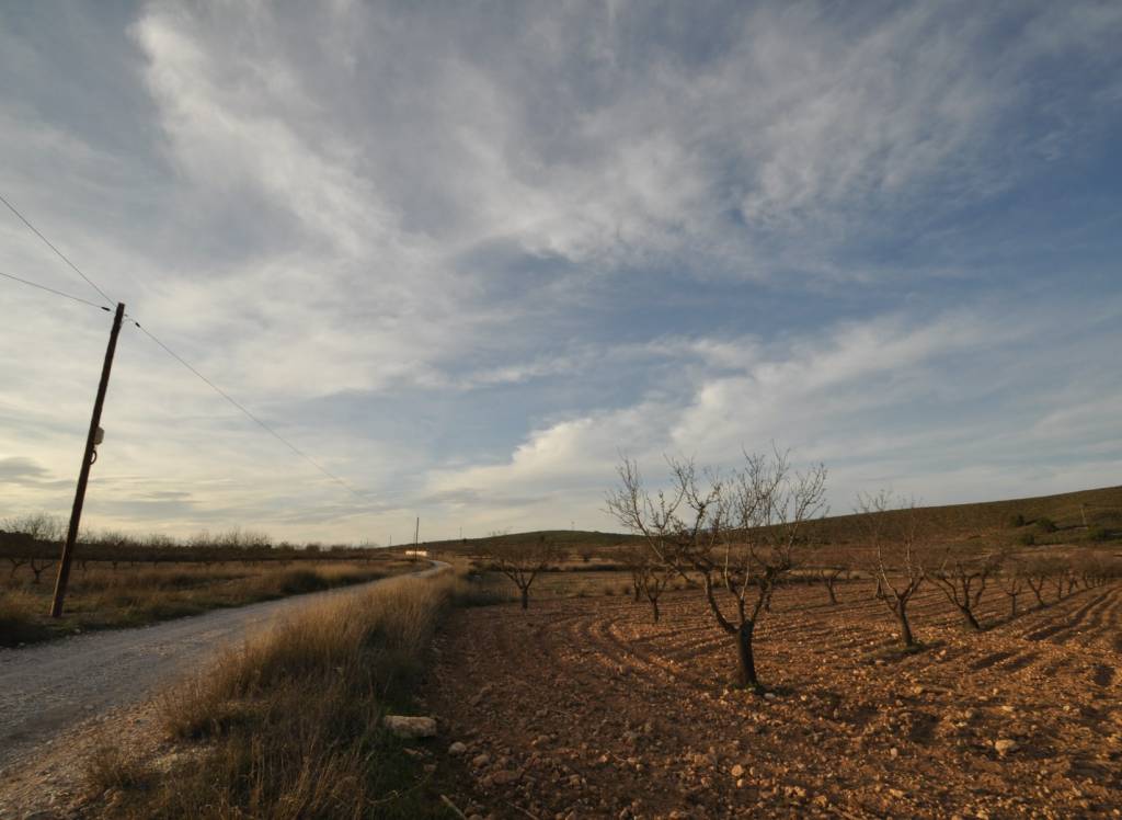 Resale - Land - Abanilla - Rural location