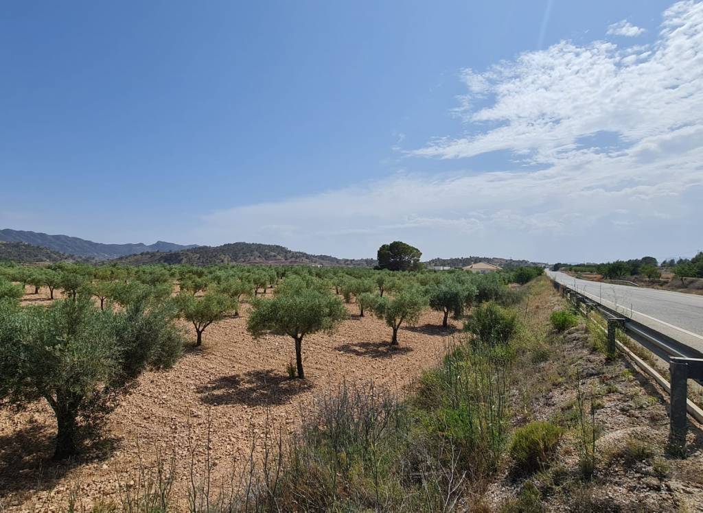 Resale - Land - Abanilla - Rural location
