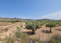Resale - Land - Abanilla - Rural location