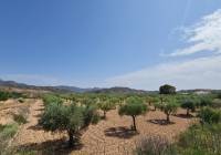 Resale - Land - Abanilla - Rural location