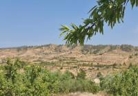 Resale - Land - Abanilla - Rural location