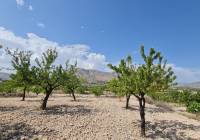 Resale - Land - Abanilla - Rural location