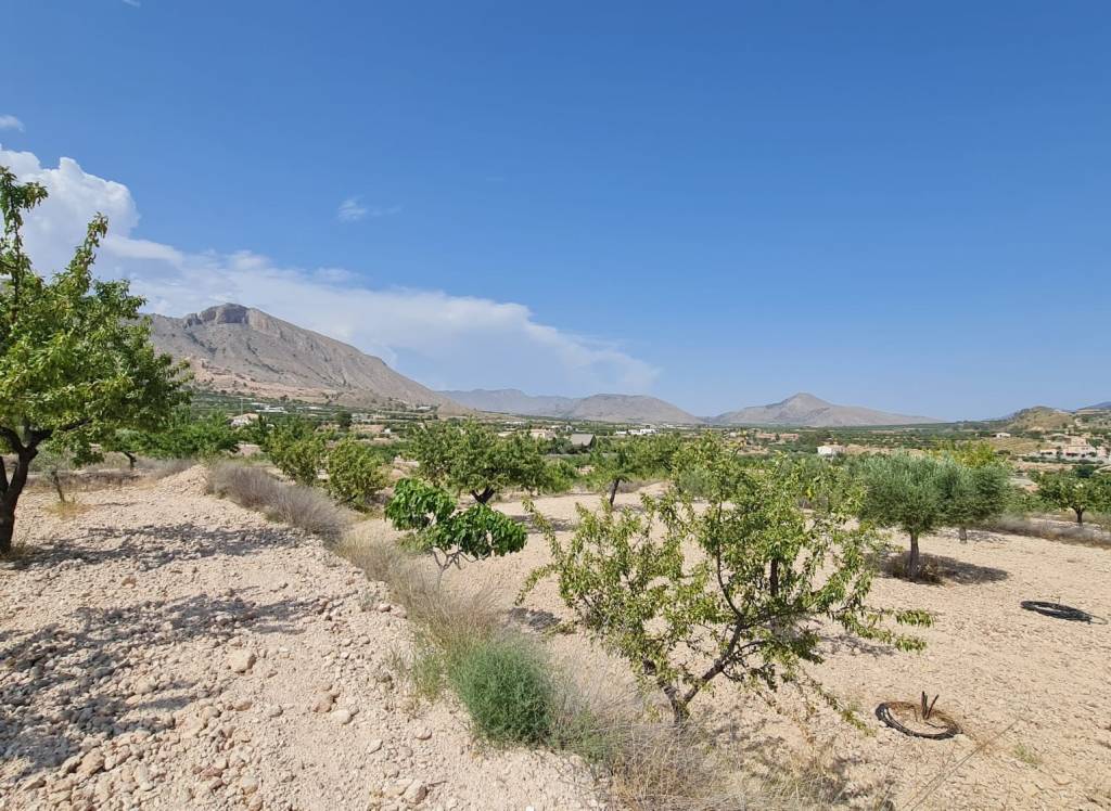 Resale - Land - Abanilla - Rural location