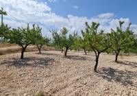 Resale - Land - Abanilla - Rural location