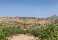 Resale - Land - Abanilla - Rural location