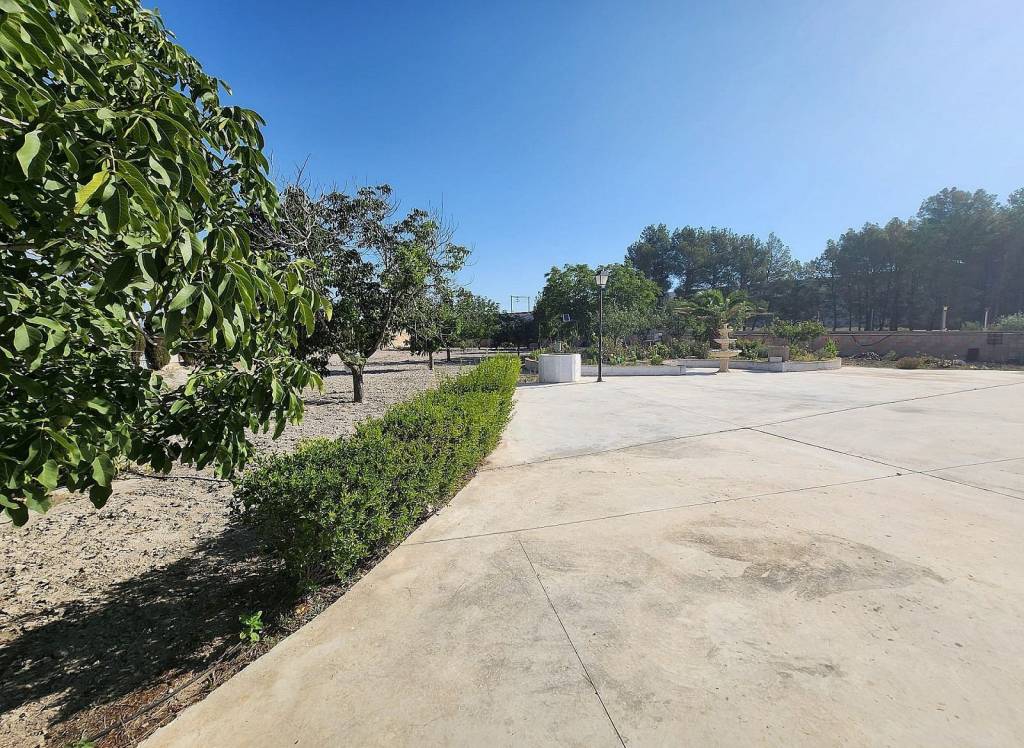 Resale - Land - Abanilla