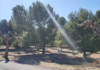 Resale - Land - Beneixama - Urban location