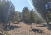 Resale - Land - Beneixama - Urban location