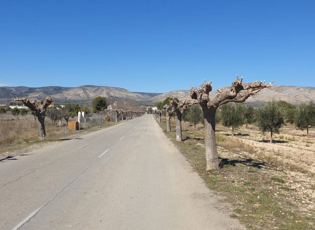 Resale - Land - Beneixama - Urban location