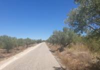 Resale - Land - Biar - Rural location