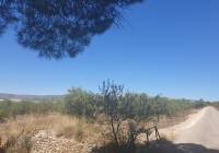 Resale - Land - Biar - Rural location