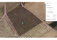 Resale - Land - Cañada Del Trigo - Edge of town