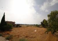Resale - Land - Caudete - Edge of town