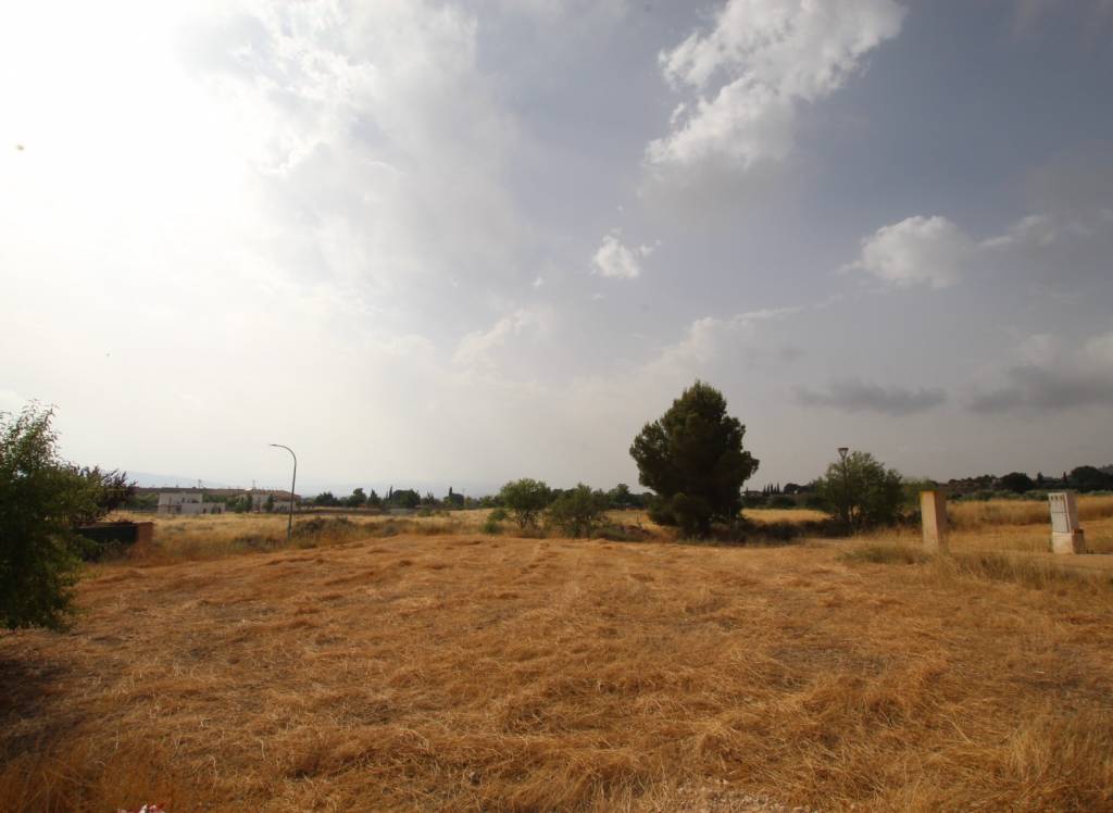 Resale - Land - Caudete - Edge of town