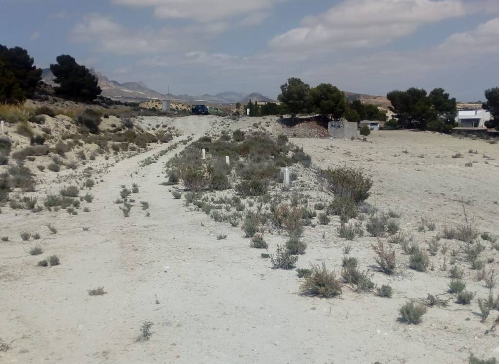 Resale - Land - Fortuna - Rural location