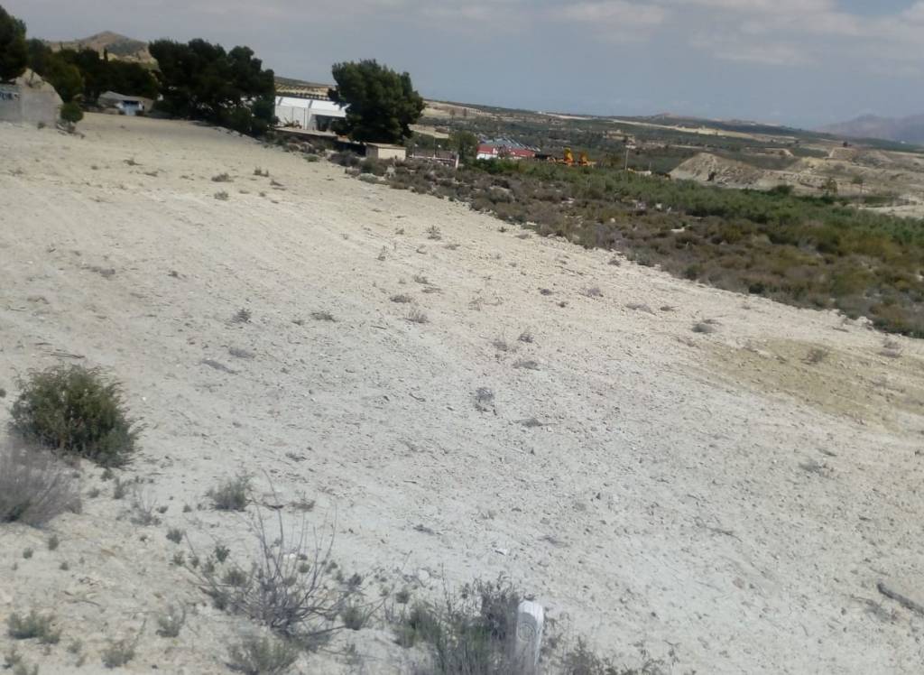 Resale - Land - Fortuna - Rural location