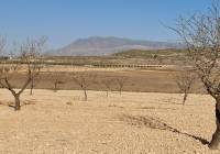 Resale - Land - Jumilla - Rural location