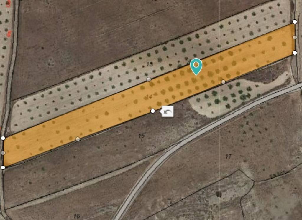 Resale - Land - Jumilla - Rural location