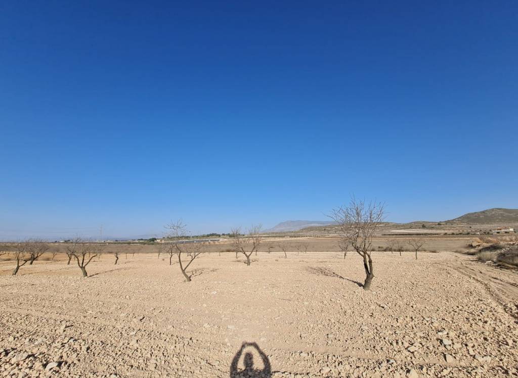 Resale - Land - Jumilla - Rural location