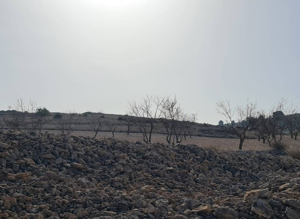 Resale - Land - Jumilla - Rural location