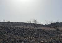 Resale - Land - Jumilla - Rural location