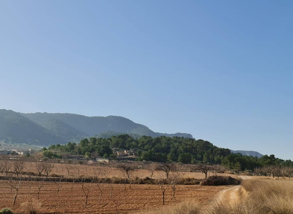 Resale - Land - Jumilla - Rural location