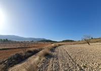 Resale - Land - Jumilla - Rural location