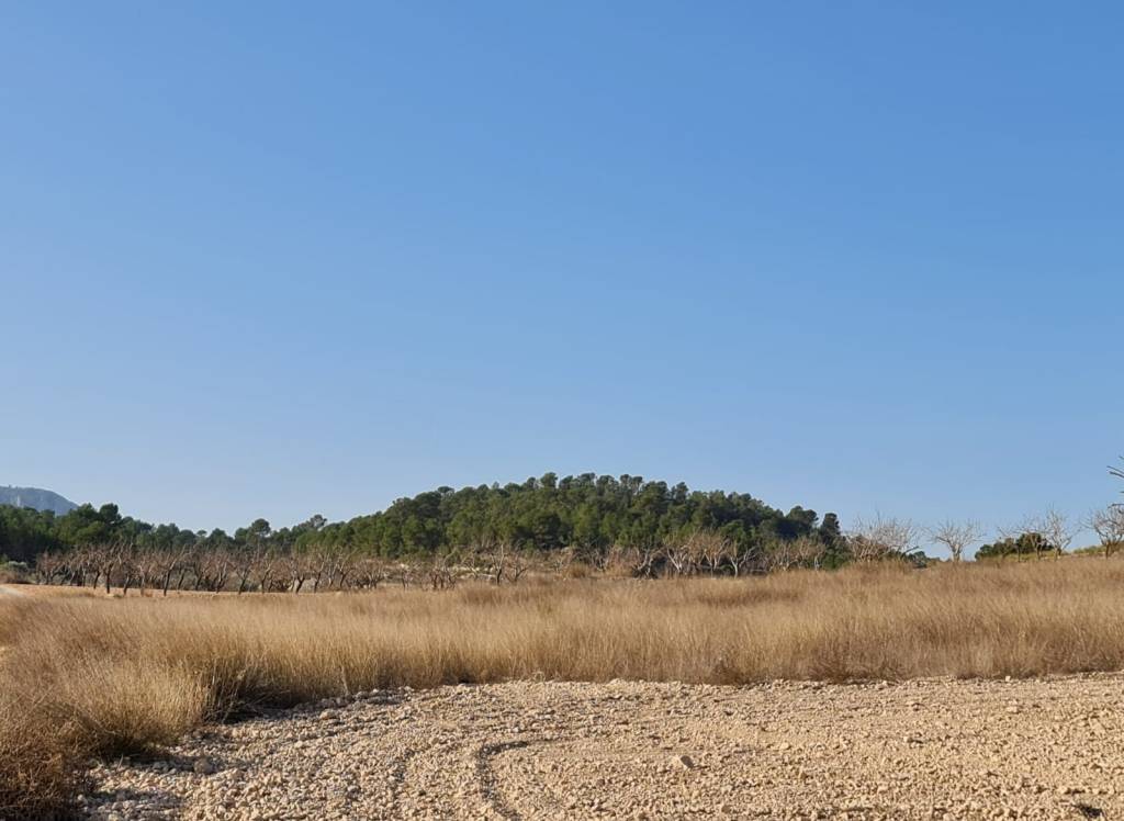 Resale - Land - Jumilla - Rural location