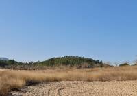 Resale - Land - Jumilla - Rural location