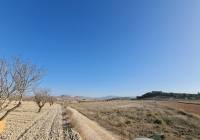 Resale - Land - Jumilla - Rural location