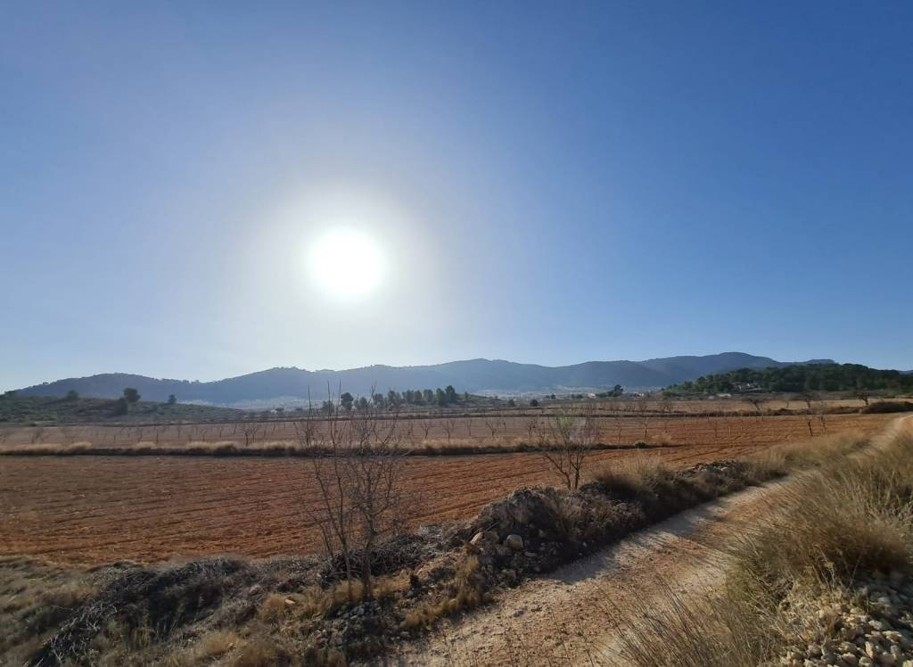 Resale - Land - Jumilla - Rural location