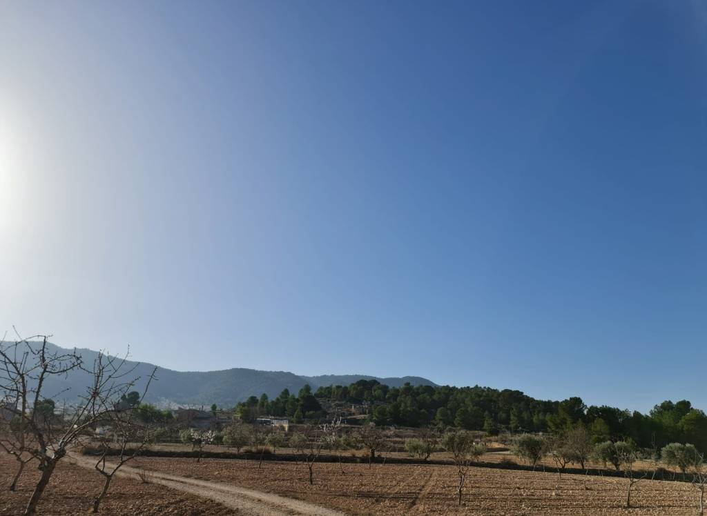 Resale - Land - Jumilla - Rural location