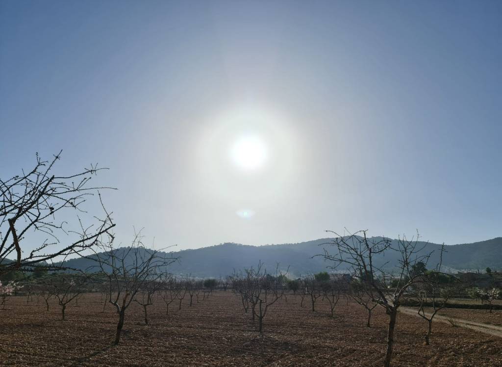 Resale - Land - Jumilla - Rural location