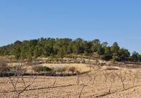 Resale - Land - Jumilla - Rural location