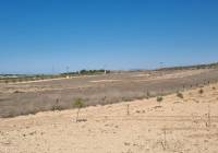 Resale - Land - Jumilla - Rural location