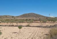 Resale - Land - Jumilla - Rural location