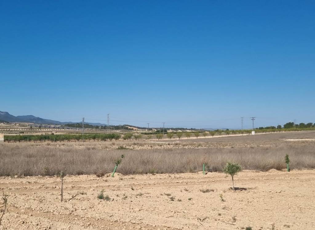 Resale - Land - Jumilla - Rural location