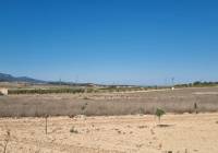 Resale - Land - Jumilla - Rural location