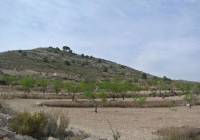 Resale - Land - Jumilla - Rural location