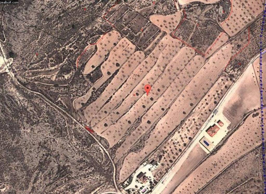 Resale - Land - Jumilla - Rural location