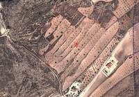 Resale - Land - Jumilla - Rural location