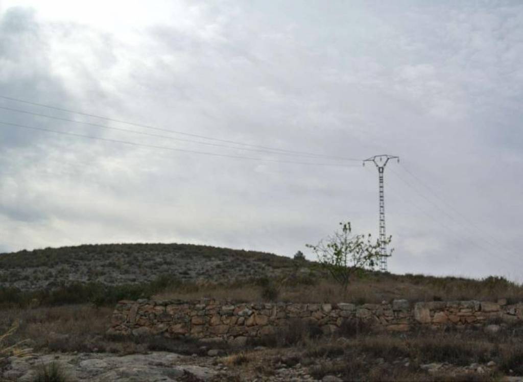 Resale - Land - Jumilla - Rural location