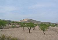 Resale - Land - Jumilla - Rural location